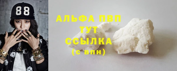 СК Алексин