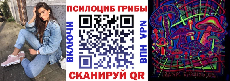 наркошоп ОМГ ОМГ зеркало Псилоцибиновые грибы мухоморы Михайловск