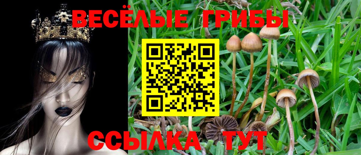 Псилоцибиновые грибы Magic Shrooms  Вход с VPN  Михайловск 