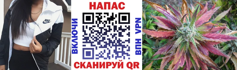 купить наркоту  Михайловск  Бошки марихуана тримм 
